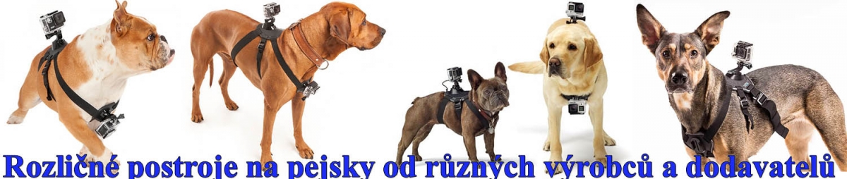 Různé příklady outdoorových postrojů na pejsky... Různé příklady outdoorových postrojů na pejsky...