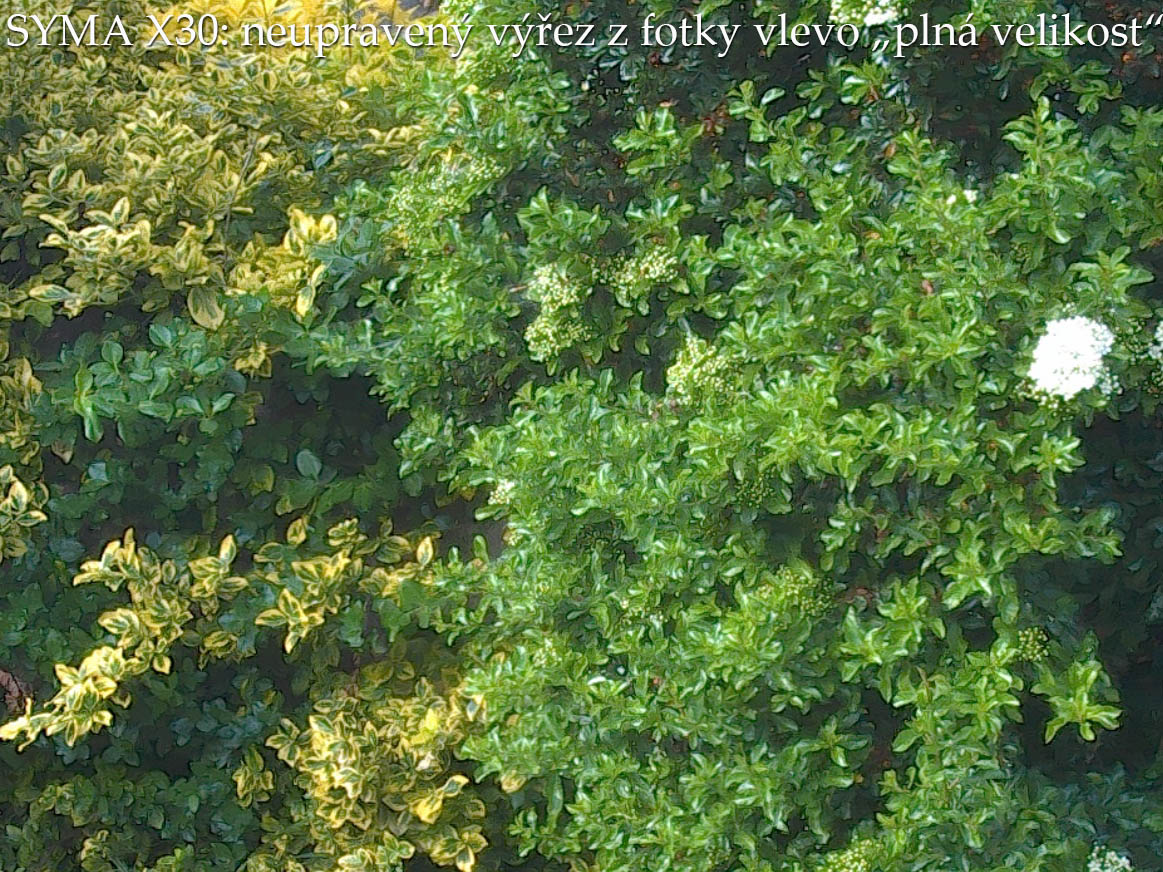 Výřez v "Plné velikosti" 12MP pixelů z původní fotografie Výřez v "Plné velikosti" 12MP pixelů z původní fotografie