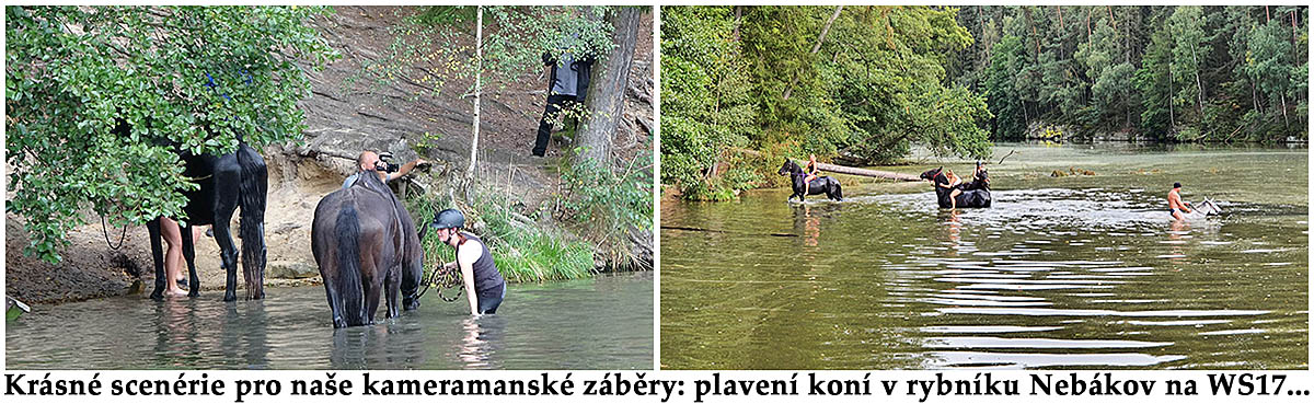 Scéna pro krásné záběry WorkShopistů: plavení koní Scéna pro krásné záběry WorkShopistů: plavení koní